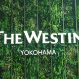 ウェスティンホテル横浜に宿泊♡プラチナ特典は？アップグレードは？ 2023年の思い出！
